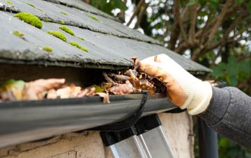 gutter cleaning Eggbuckland, Devon